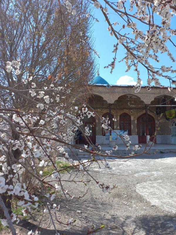 امامزاده سید ابوالفضل علی (فاضل) (علیه‌السلام) (قم)