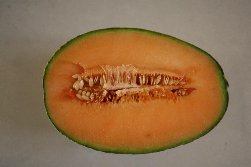 خربزه جانا